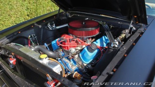 Ford Mustang MAIER RACING WIDEBODY 1965