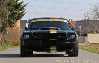 Ford Mustang MAIER RACING WIDEBODY 1965