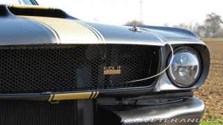 Ford Mustang MAIER RACING WIDEBODY 1965