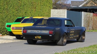 Ford Mustang MAIER RACING WIDEBODY 1965