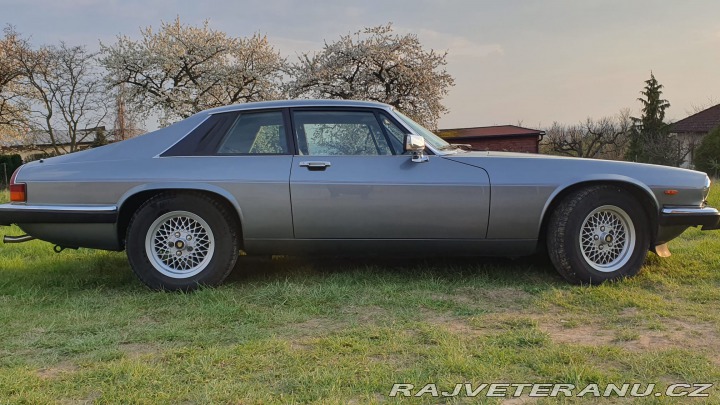 Jaguar XJS V12 5.3 1988