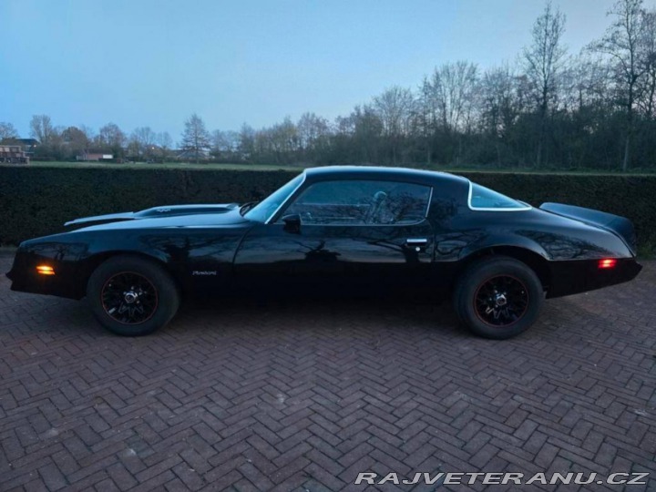 Pontiac Firebird 6.6 V8 1978