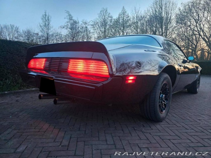Pontiac Firebird 6.6 V8 1978