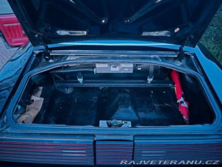 Pontiac Firebird 6.6 V8 1978