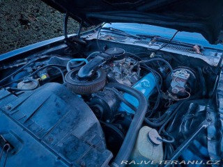 Pontiac Firebird 6.6 V8 1978