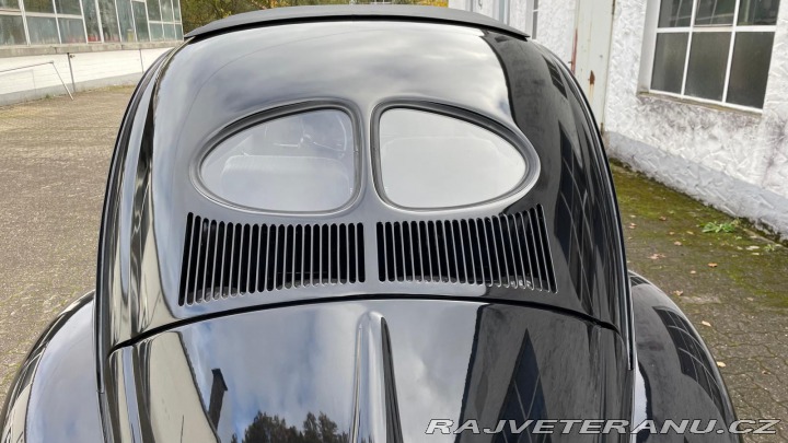 Volkswagen Brouk  1949