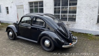 Volkswagen Brouk  1949