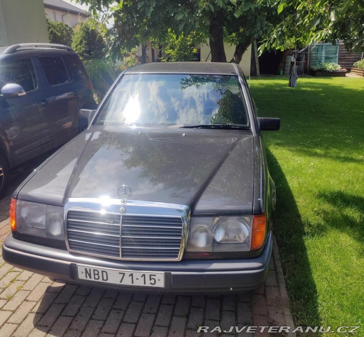 Mercedes-Benz 230  1987