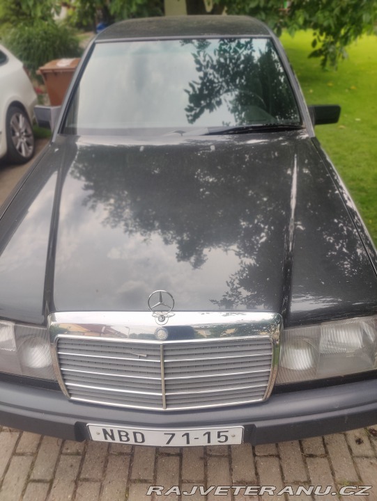 Mercedes-Benz 230  1987