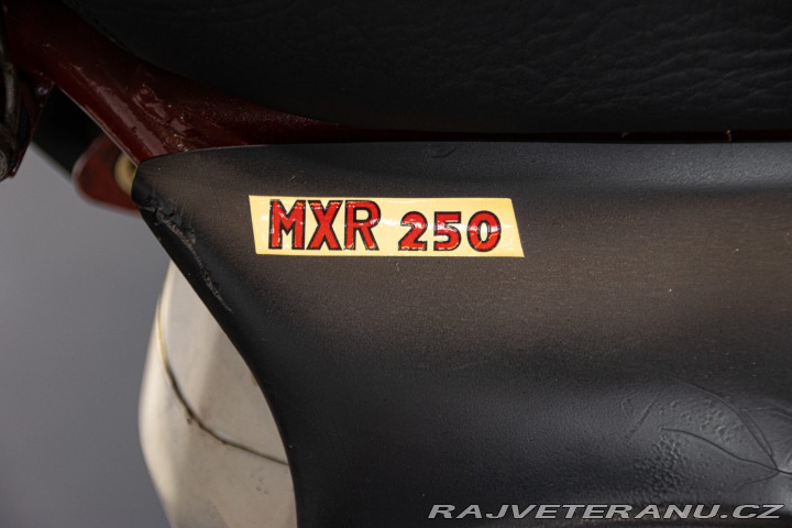 Ostatní značky Ostatní modely MXR 250 CZ 1970