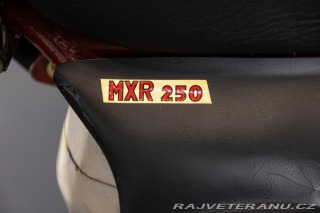 Ostatní značky Ostatní modely MXR 250 CZ 1970