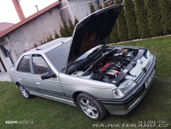 Peugeot 405 MI-16 1987