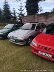 Peugeot 405 MI-16 1987