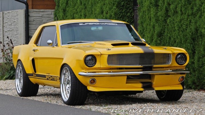 Ford Mustang MAIER RACING WIDEBODY 1965