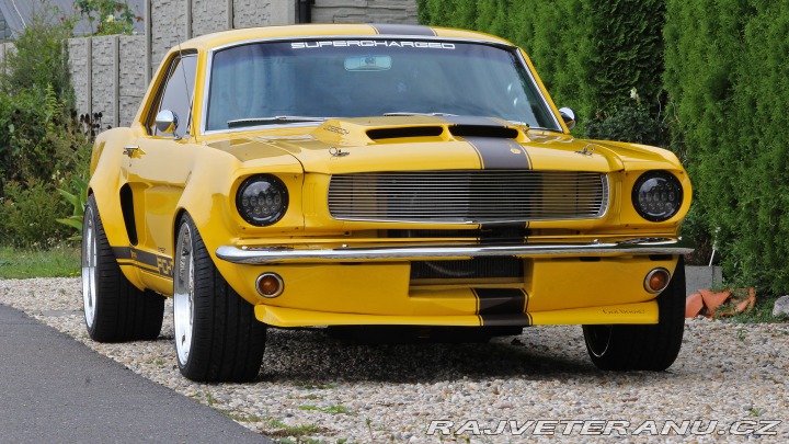 Ford Mustang MAIER RACING WIDEBODY 1965