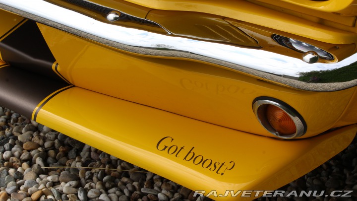 Ford Mustang MAIER RACING WIDEBODY 1965