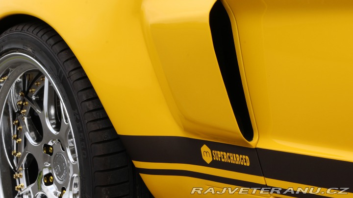 Ford Mustang MAIER RACING WIDEBODY 1965