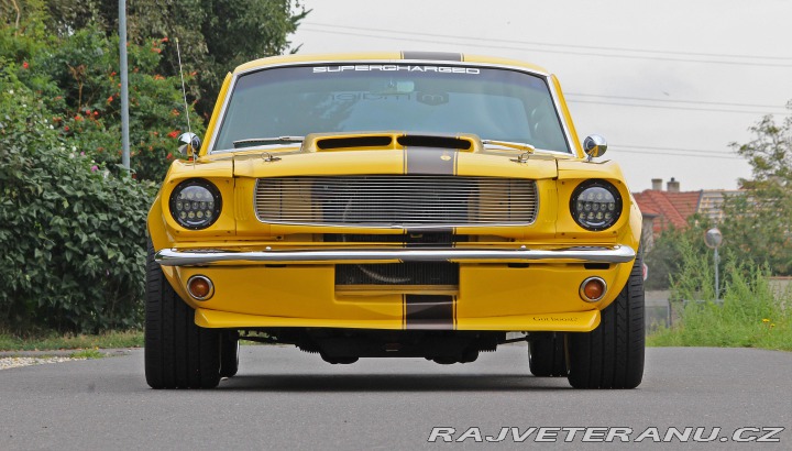 Ford Mustang MAIER RACING WIDEBODY 1965