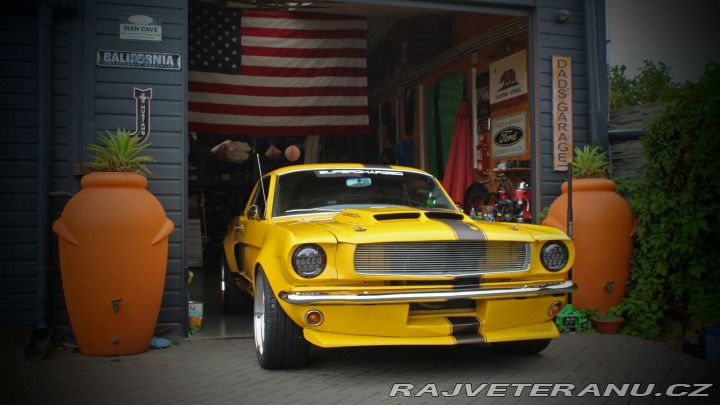 Ford Mustang MAIER RACING WIDEBODY 1965