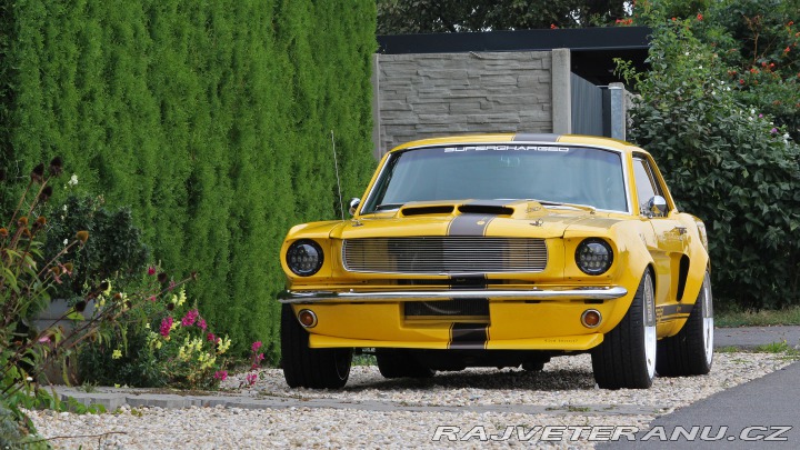 Ford Mustang MAIER RACING WIDEBODY 1965