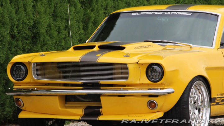 Ford Mustang MAIER RACING WIDEBODY 1965