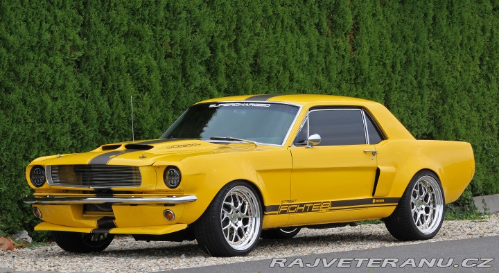 Ford Mustang MAIER RACING WIDEBODY 1965