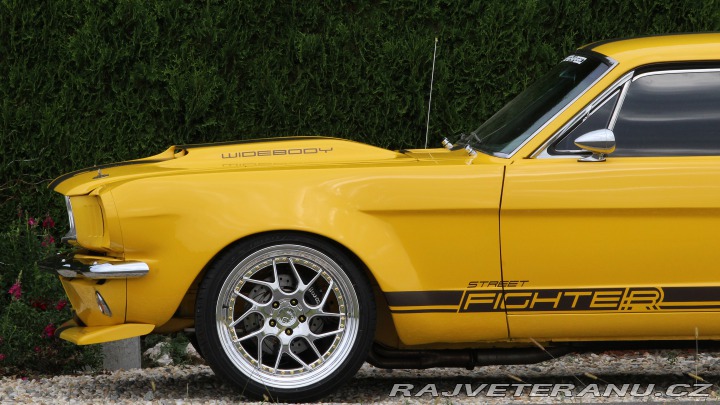 Ford Mustang MAIER RACING WIDEBODY 1965