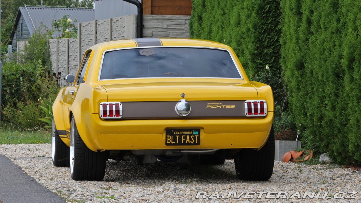 Ford Mustang MAIER RACING WIDEBODY 1965