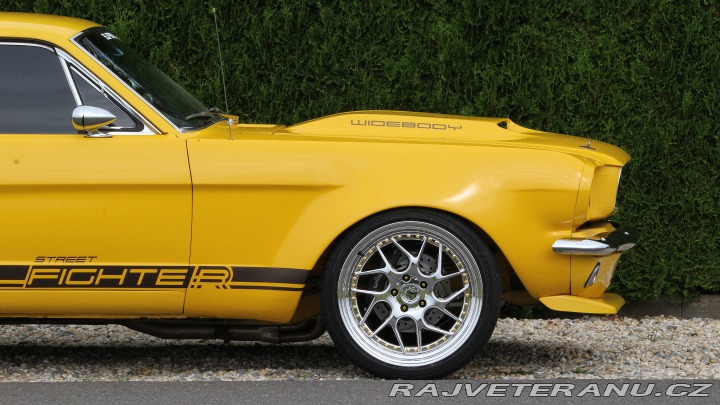 Ford Mustang MAIER RACING WIDEBODY 1965