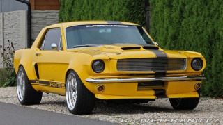 Ford Mustang MAIER RACING WIDEBODY 1965