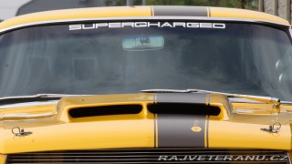 Ford Mustang MAIER RACING WIDEBODY 1965