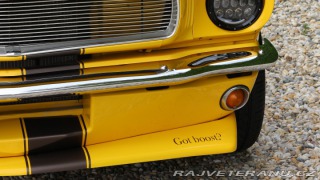 Ford Mustang MAIER RACING WIDEBODY 1965