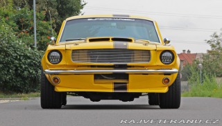 Ford Mustang MAIER RACING WIDEBODY 1965