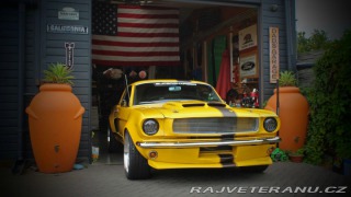 Ford Mustang MAIER RACING WIDEBODY 1965