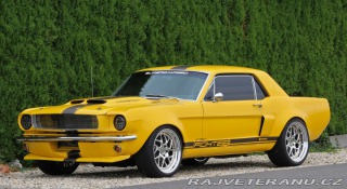 Ford Mustang MAIER RACING WIDEBODY 1965