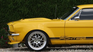 Ford Mustang MAIER RACING WIDEBODY 1965