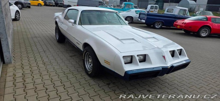 Pontiac Firebird Trans Am 1980