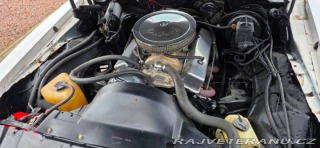 Pontiac Firebird Trans Am 1980