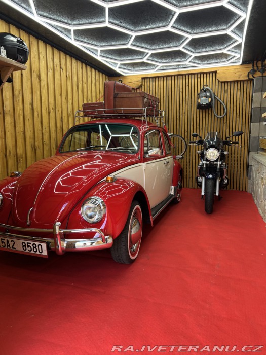 Volkswagen Brouk 11