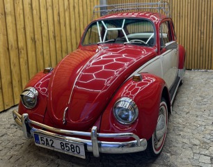 Volkswagen Brouk 