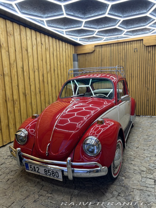 Volkswagen Brouk 11 1970