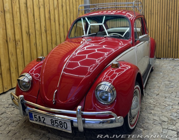 Volkswagen Brouk 11 1970