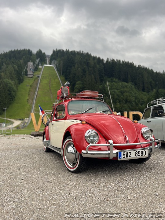 Volkswagen Brouk 11 1970