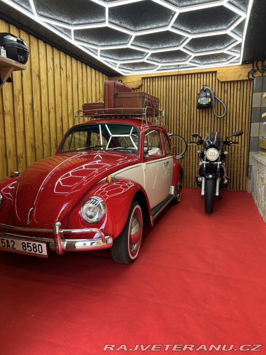 Volkswagen Brouk 11 1970