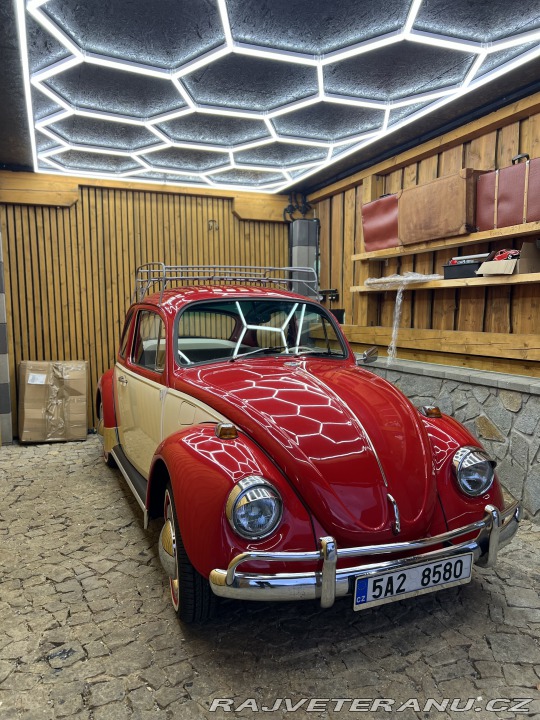 Volkswagen Brouk 11 1970