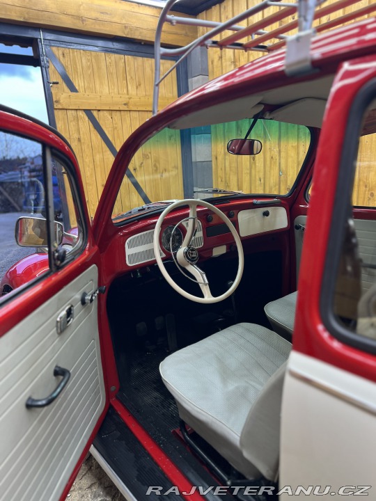 Volkswagen Brouk 11 1970