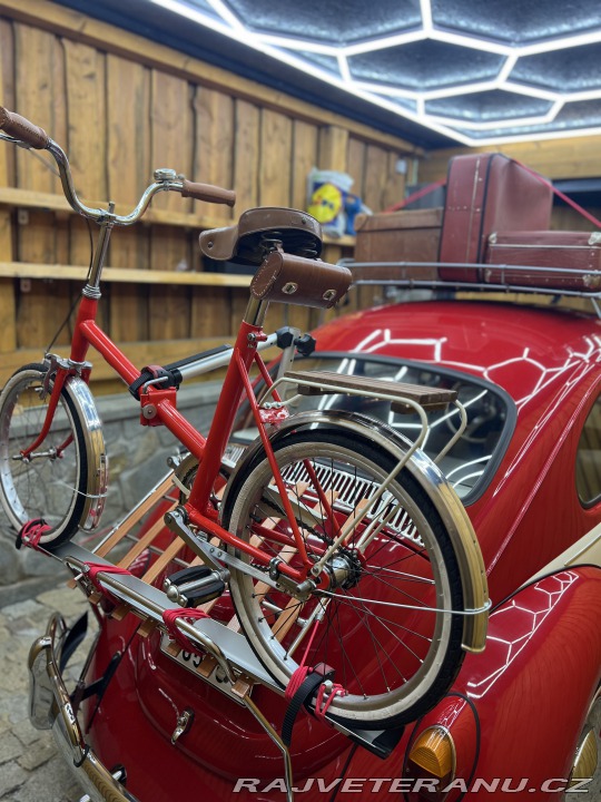 Volkswagen Brouk  1970