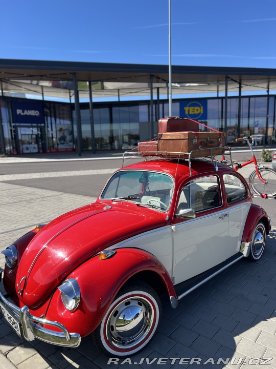 Volkswagen Brouk 11 1970