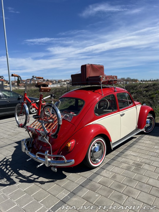 Volkswagen Brouk 11 1970