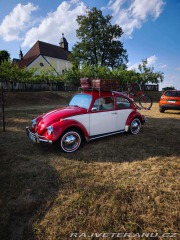 Volkswagen Brouk 11 1970